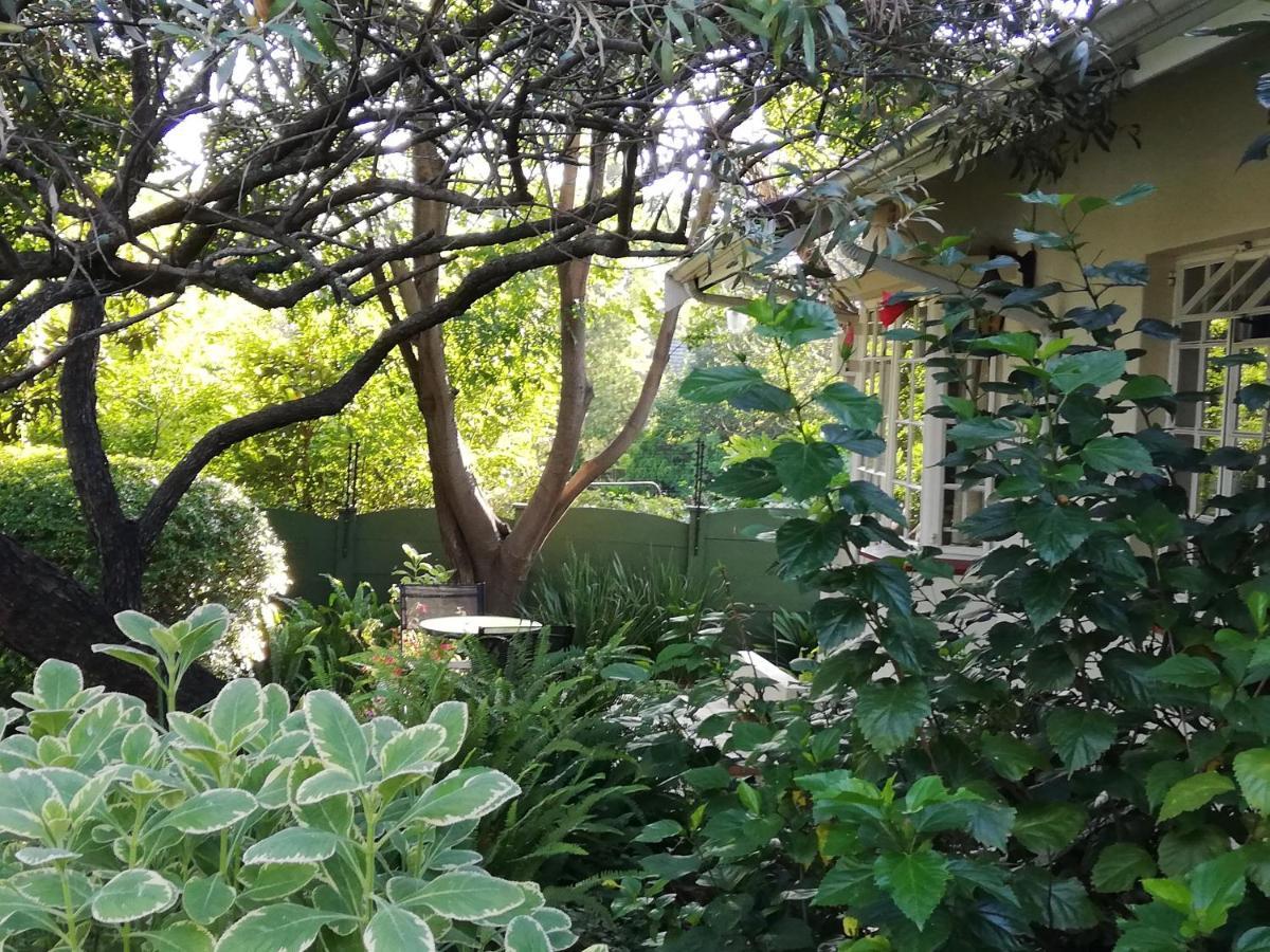 Tiree B&B Johannesburg Exteriör bild